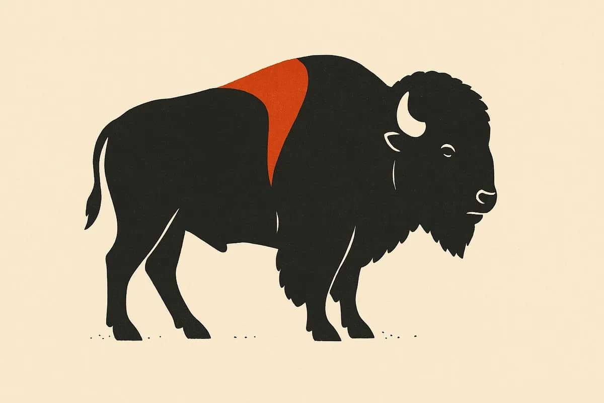 A bison standing calmly in profile